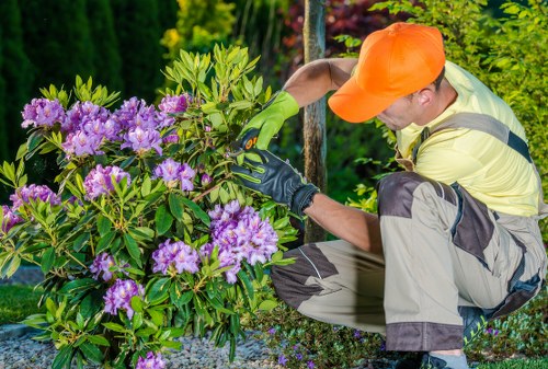 Seasonal hedge trimming activities in a Highgate garden