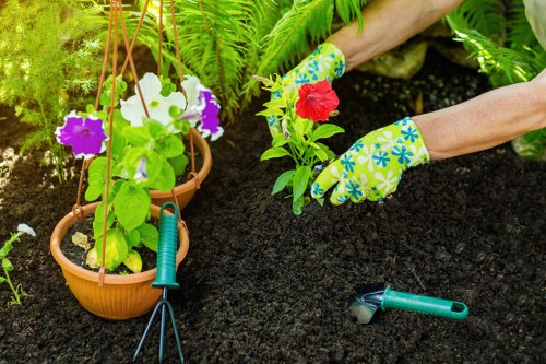 Key elements of effective landscaping including hardscaping and softscaping
