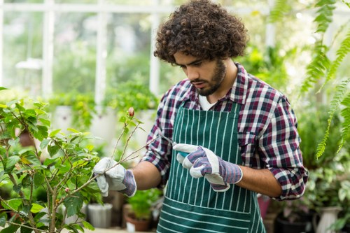 Professional garden debris removal