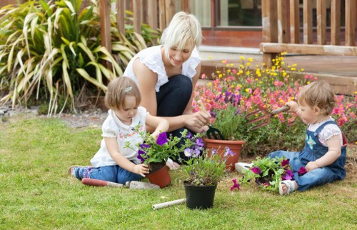 Professionally mowed lawn in Highgate