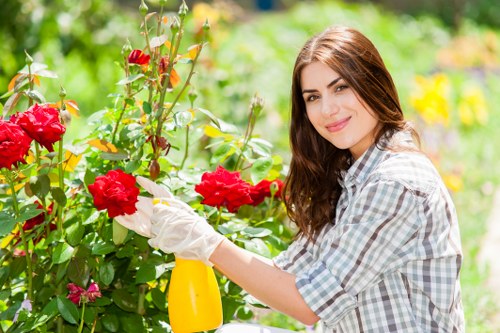 Highgate lawn maintenance services