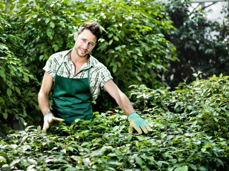 Professional gardener testing soil in Highgate