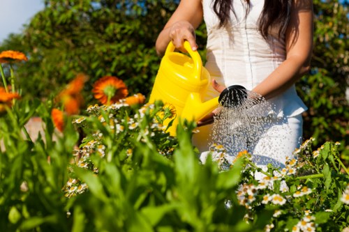 Modern minimalist garden design trend in Highgate