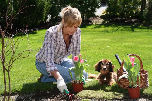 Sustainable landscaping practices with rainwater harvesting system